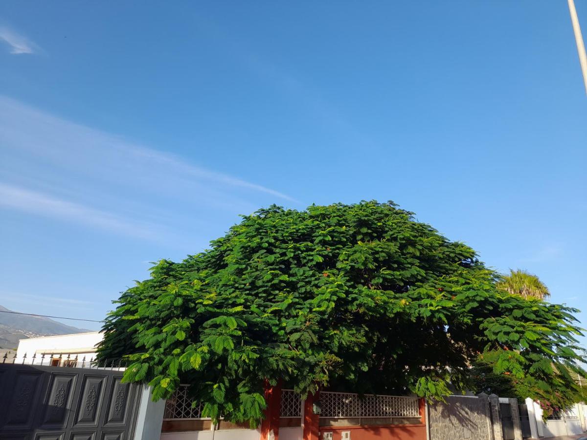 Tenerife Homestay San Miguel de Abona Exterior photo